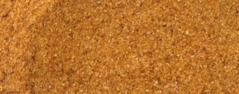 High protein spent grain for cattle feed